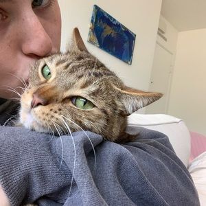 Meet your Posher, Maggie